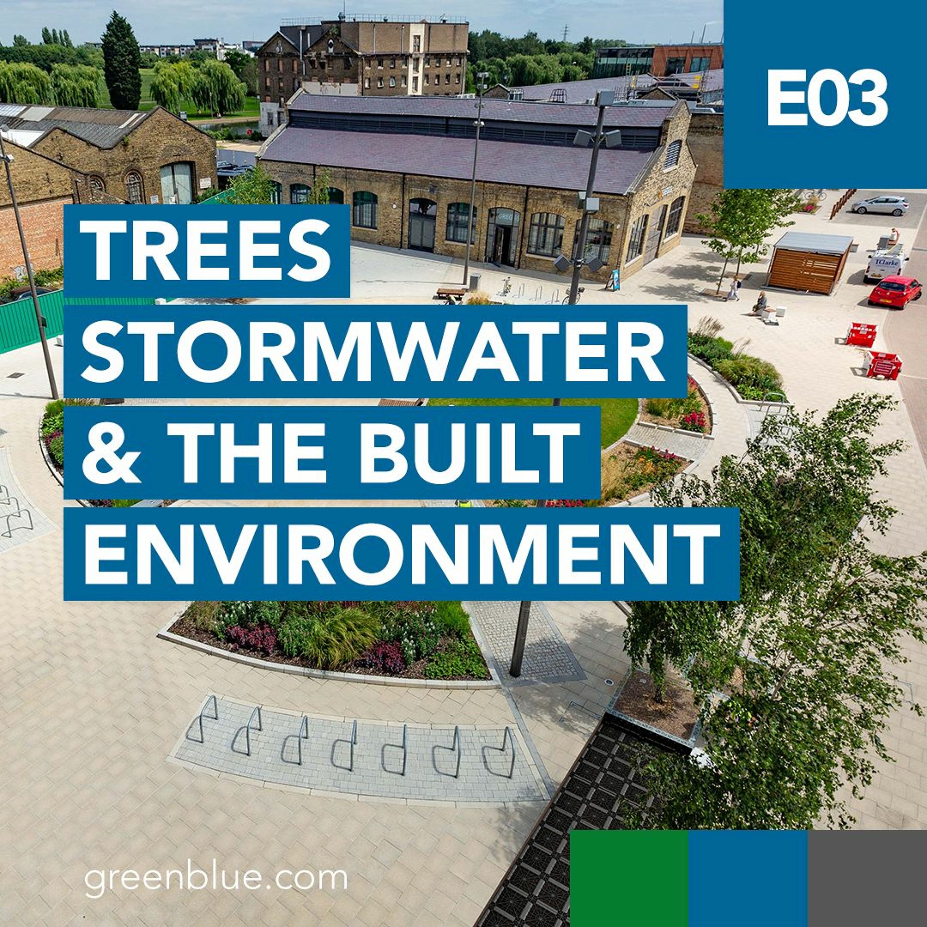 Trees-Stormwater