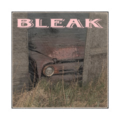 Bleak