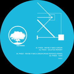 PREMIERE: Pheek - Maybe It Was A Dream (Mihai Popoviciu Remix) [Aissa Records]