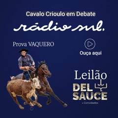 Cavalo Crioulo Em Debate - Prova Vaquero