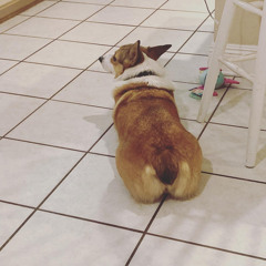 hate me prod bleachcraft, internet joe