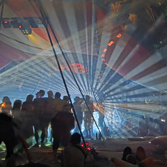 Squelchy - Priceless 2025 Forest Stage