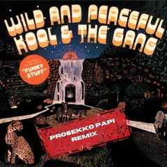 Kool & The Gang - Hollywood Swinging (Prosekko Papi Remix)