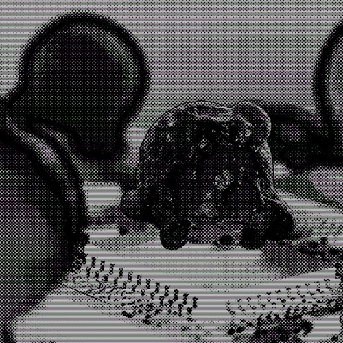 chip n slip