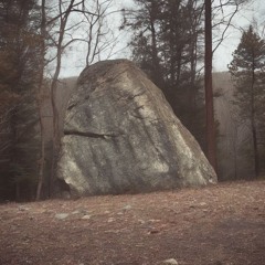Missing Bug Rock
