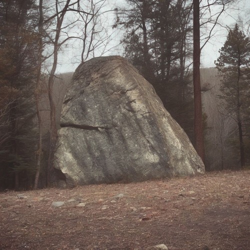 Missing Bug Rock