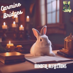 Carmine Bridges - Mindful Reflections (Mr Silky's LoFi Beats)