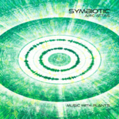 Laurel Oak Tree, Vero Beach, Florida