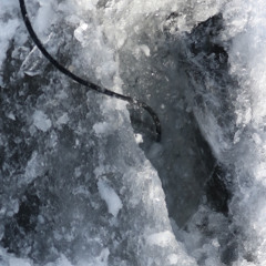 Genevieve Kiessling - Ice Follies Piece