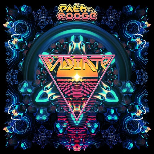 Path of the Moose - Radiate (Mini Mix) Album Out Now
