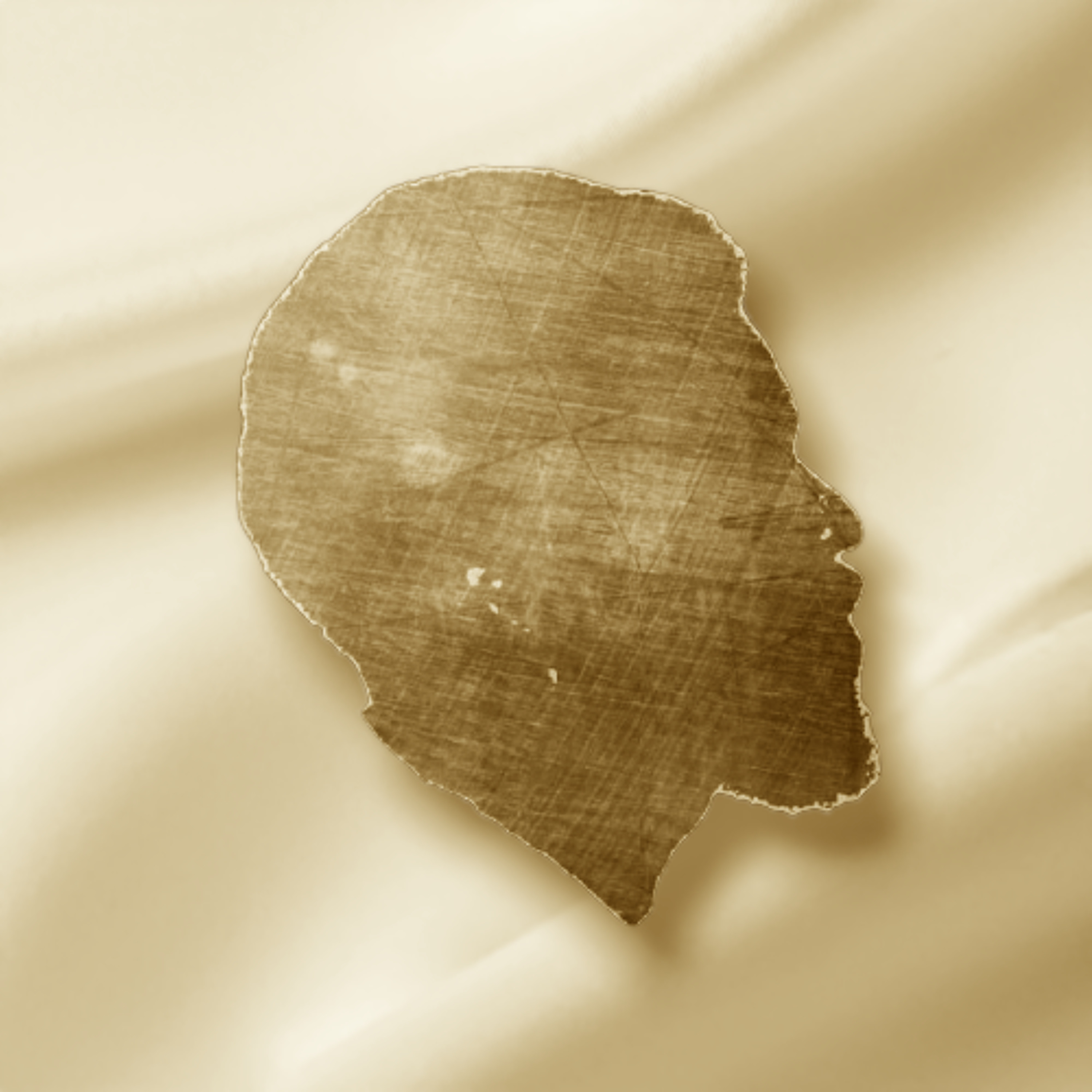 Track cover