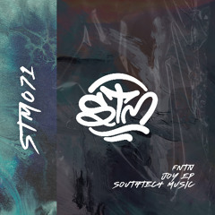 Premiere: FNTN - Joy (Original Mix) | STM SouthTech Music