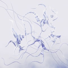 supa + okpooka - iThink