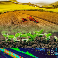 June 16, 2025 - Grain Marketing Noon Farm Show
