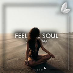 Emre kabak - Feel the soul