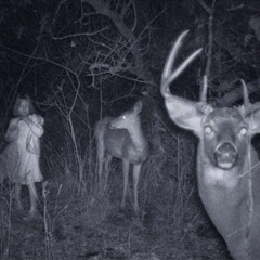 Deer Departed