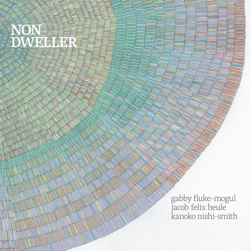 fluke-mogul / Heule / Nishi-Smith - non-dweller i