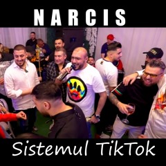 Sistemul TikTok (Live)