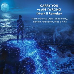 Martin Garrix, Third Party, Nico & Vinz - Carry You Vs Am I Wrong (Mark ii Remake)