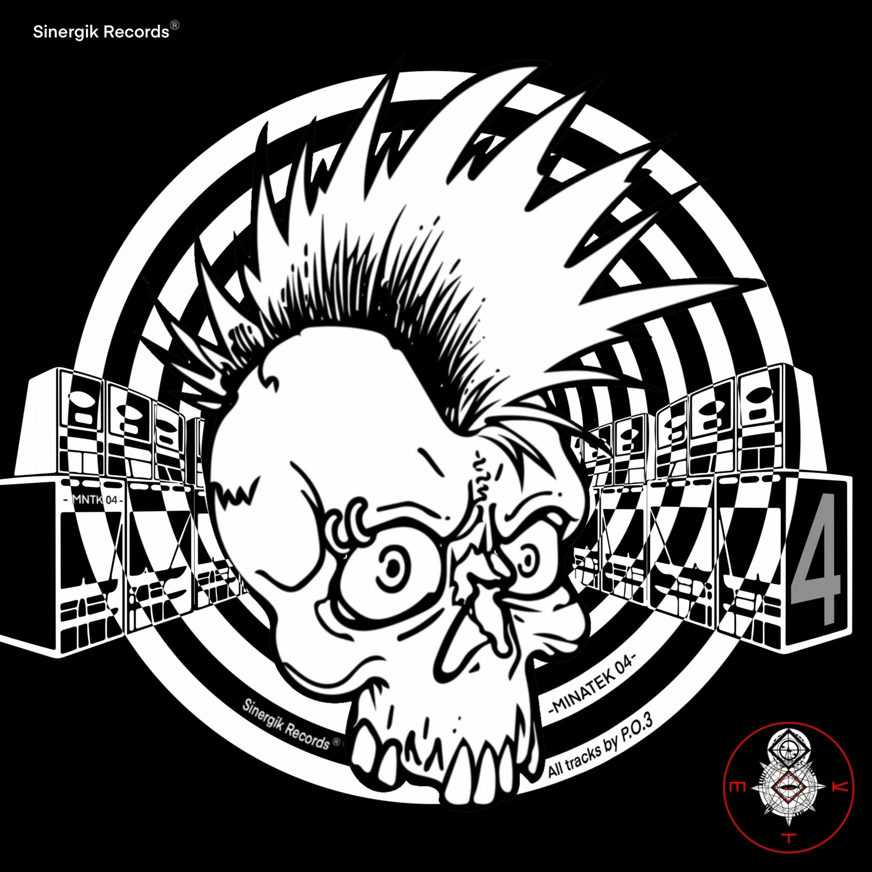 SINERGIK RECORDS ²³