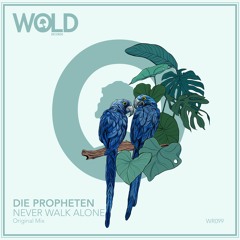 DIE PROPHETEN - Never Walk Alone (Original Mix)