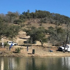 Best Tree Services In San Antonio