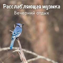 Арфа и виолончель