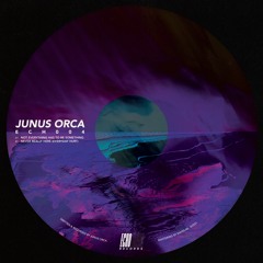 Junus Orca - Never Really Here (Everyday Hurt)