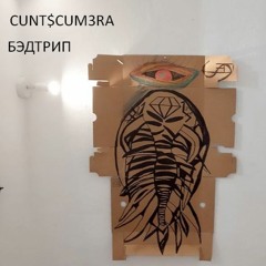 БЭДТРИП
