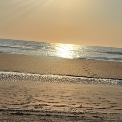 sunshine (1)