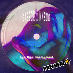 PREMIERE: MNBOO x Gabbor - Bye Bye Normyland