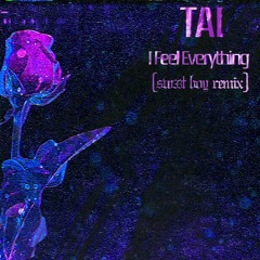 TAI - I Feel Everything [sw33t boy’s ukg remix]
