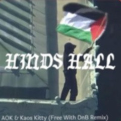 Macklemore - Hinds Hall (Agent Of Kaos & Kaos Kitty DnB Remix)