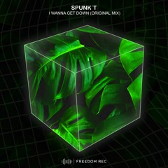 Spunk't - I Wanna Get Down (Original Mix) FREEDOM REC
