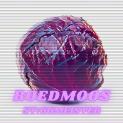 ST:GG Presents: ST:GGMEISTER - ROEDMOOS