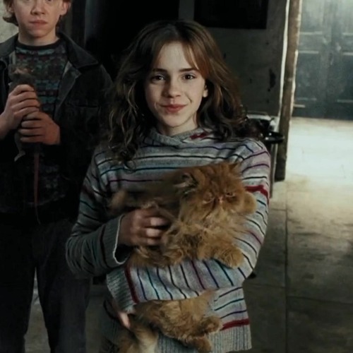 la la land edit audio