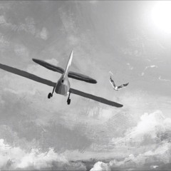 Echo in the Clouds soundtrack (for Kinorex competition)
