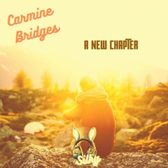 Carmine Bridges - A New Chapter (Mr Silky's LoFi Beats)
