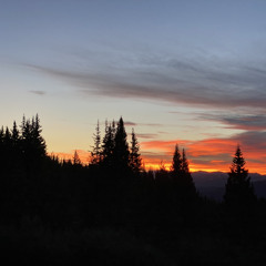 Cranio III - Nightfall