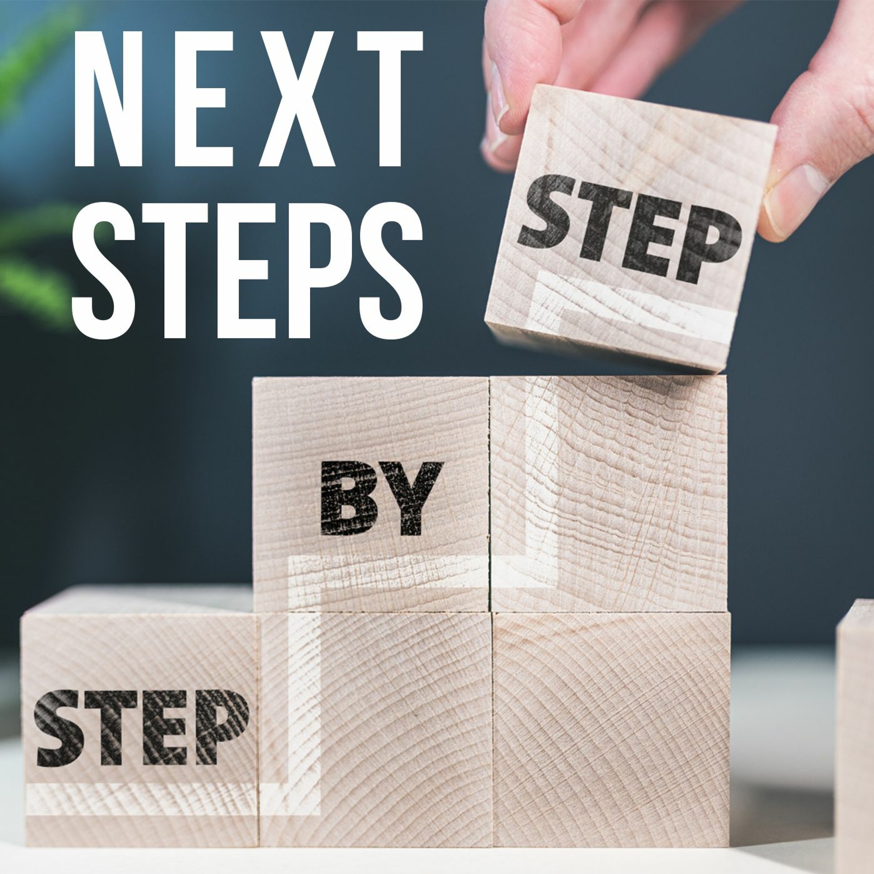 Next Steps episode artwork