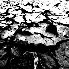 [FREE] Hardship (Nettspend Type Beat)