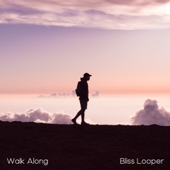 Bliss Looper - Walk Along