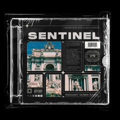 Faraday Music Radio w/ SENTINEL #079