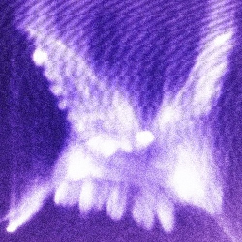 bite [FREE]