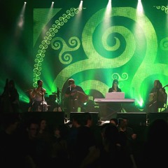 Denise's Waltz (c. Timmy O'Connor) / Brosna Town (LIVE at Big Samhain Festival 2016)