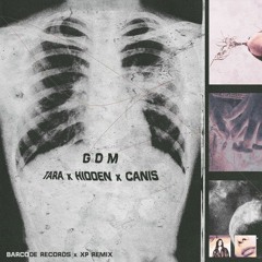 Tara X Hidden X Canis _ GOM(Remix by XP)