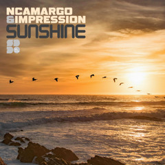 nCamargo & Impression - Pressure