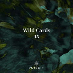 Wild Cards 15