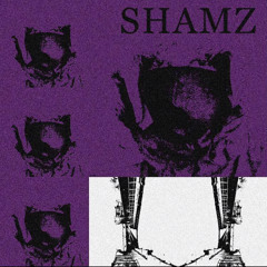 Shamz - No Hook