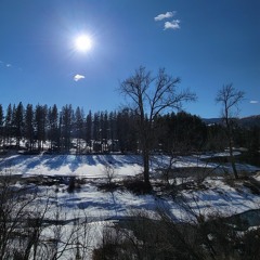 Early Spring